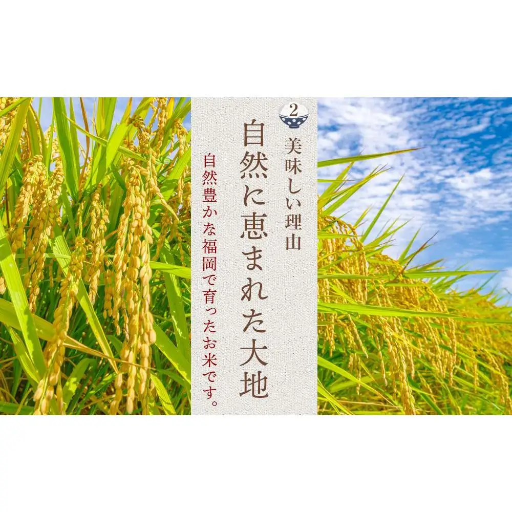 【令和7年産】福岡県産 米 夢つくし 15kg セット ( 5kg×3袋 ) | 米 お米 こめ 白米 精米 ライス ブランド米 美味しい ご飯 おいしい ごはん