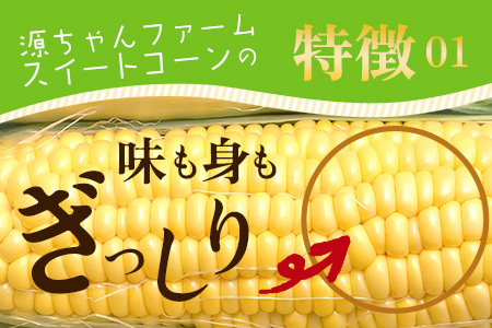 【数量限定】多良木町産 スイートコーン 約 2kg (6～7本) 5月上旬～順次配送 ゴールドラッシュ 一番果 甘い トウモロコシ 旬の味覚 産地直送 コーン とうもろこし 熊本県 089-0690