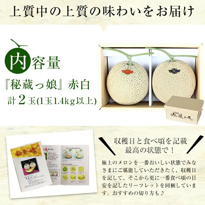 極上メロン「秘蔵っ娘」赤玉・白玉 計2個(赤肉・青肉 各1個) メロン マスクメロン 果物 くだもの デザート 赤肉 青肉 b5-033