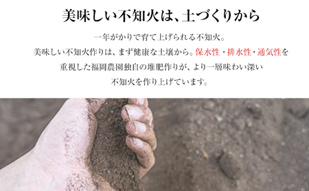 福岡農園 不知火 2kg《1月上旬-1月末頃出荷》熊本県 氷川町 柑橘 果物 フルーツ