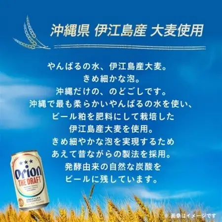 オリオンビール オリオン ザ・ドラフト ギフト(350ml×12本)【1521178】