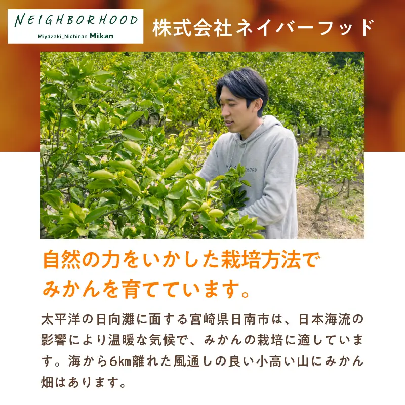 ≪12か月お楽しみ定期便≫果汁 100％ まる搾り みかん ジュース 1000ml×3本 12回 機能性表示食品 飲料 ソフトドリンク 果物 フルーツ 柑橘 ミカン シャーベット 国産 人気 おすすめ ギフト おすそ分け お土産 贈り物 プレゼント お取り寄せ 宮崎県 日南市 送料無料_RF1-24