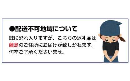 あんぽ柿 和歌山県産 60g×12玉 竹籠入り / 柿 かき デザート おやつ 和菓子 菓子 お菓子 和歌山産 和歌山県産【kgr016】