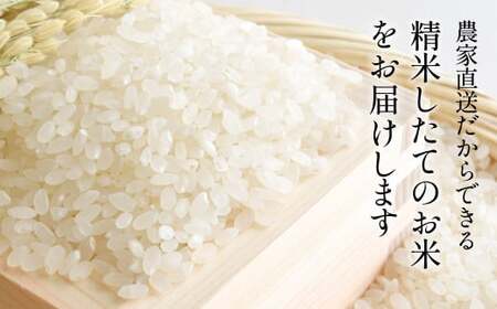 【6回定期便】特A 特別栽培米 コシヒカリ 精米 20kg 定期便