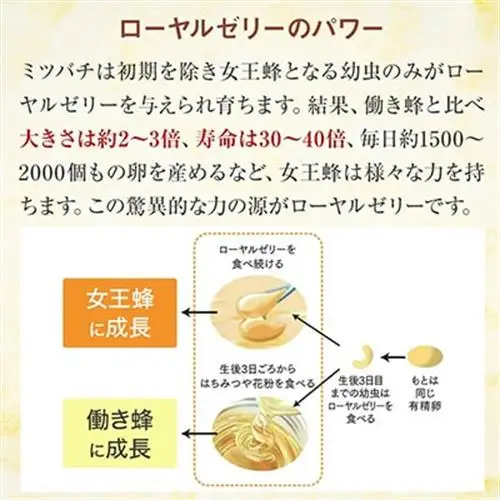 酵素分解ローヤルゼリー王乳の華 (991)【1111701】