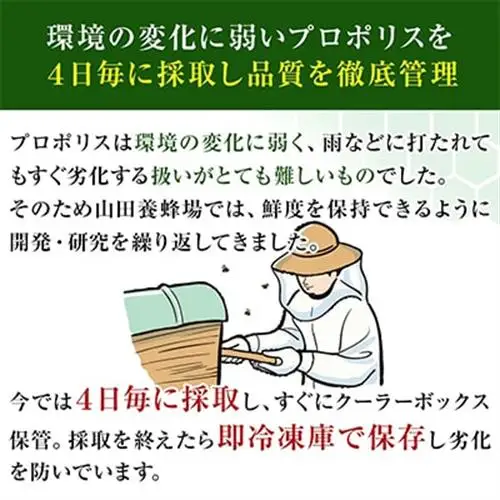 プロポリス粒 (486)【1111703】