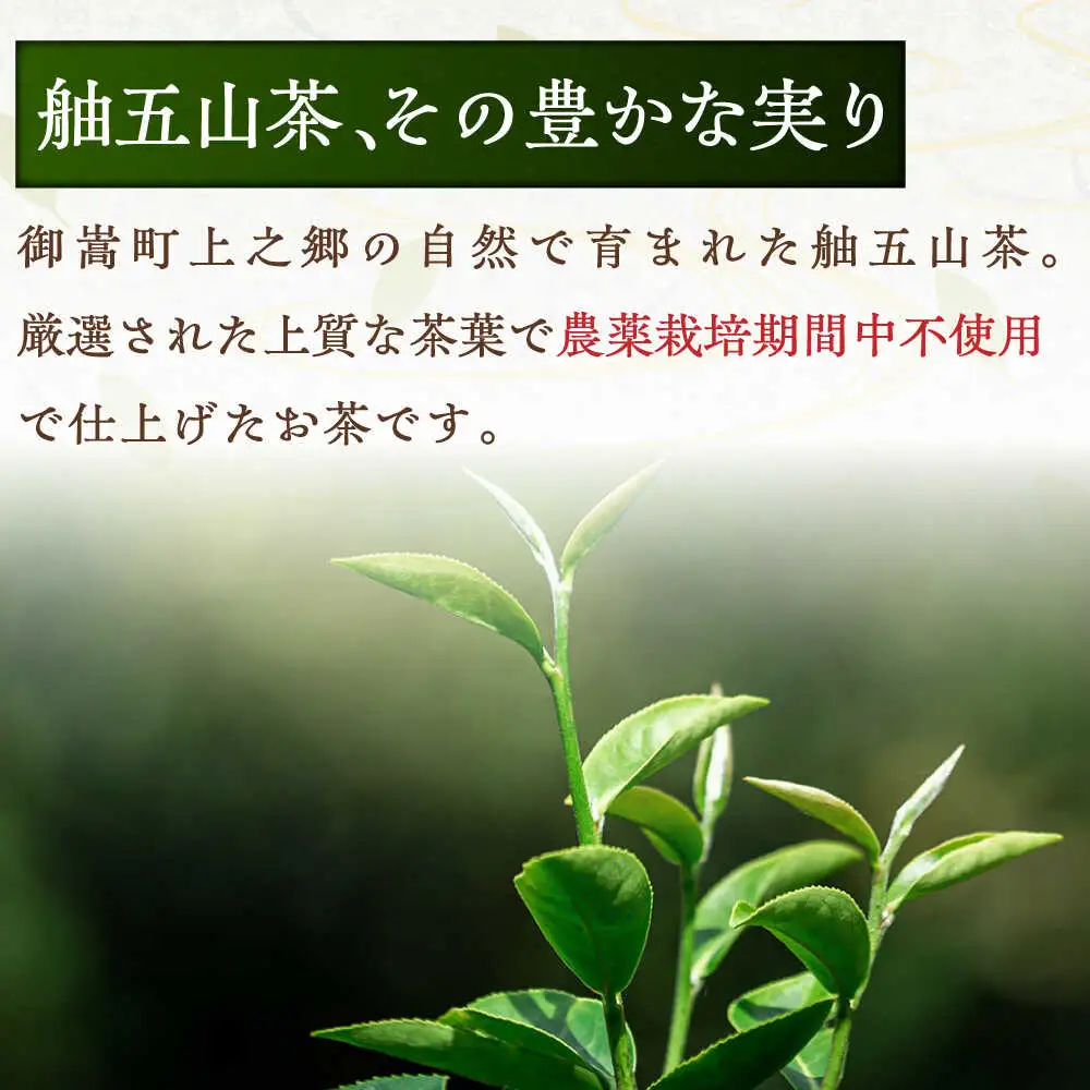 舳五山茶　粉茶500g / 緑茶 茶葉 茶ば お茶 茶摘み / 御嵩町 / 舳五山茶園委員会[AVAD009]