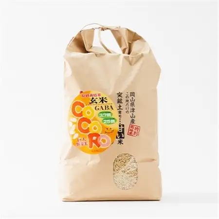 【突鉱土育ち】巨大胚芽米CoCoRo 5kg【1361992】
