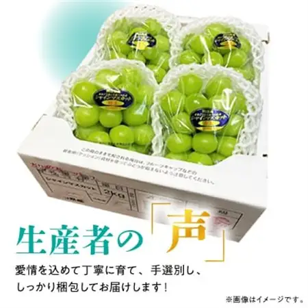 【2026年発送】訳あり!シャインマスカット晴王☆約2kg!9月上旬～順次発送【人気の岡山産ぶどう】【配送不可地域：離島】【1378276】