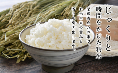 【受賞米】コシヒカリ 精米 5kg 小分け こしひかり CD004