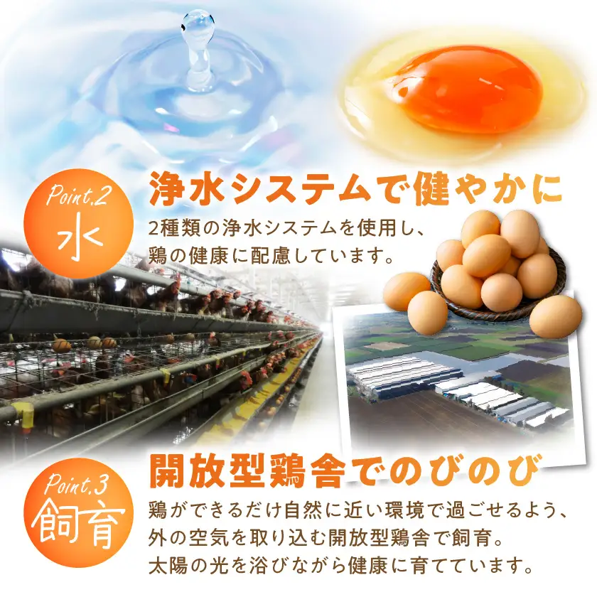 よかもよか卵40個〔11-29-010-40〕_(都城市) 赤卵Mサイズ 破損補償(5個追加) 生卵 鶏卵 玉子 タマゴ たまご 新鮮 濃厚 宮崎県産 家庭用 卵かけご飯 シフォンケーキ たまご焼き オムレツ お料理・お菓子作りに