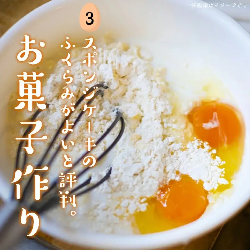 新鮮赤卵「きみ恋卵」60個〔11-29-011-60〕_(都城市) 赤玉子 Mサイズ 60個 きみ恋卵 冷蔵 チルド 赤たまご 河中農園 取れたて新鮮たまご タマゴ たまご 鶏卵 お菓子作りにも最適