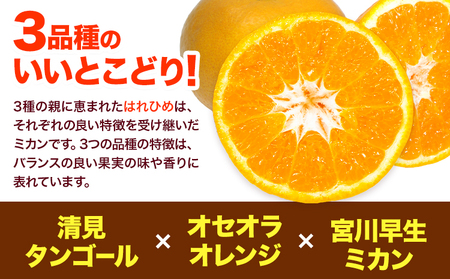 【先行予約】みかん はれひめ 約 5kg 25玉 ～ 30玉 紀農人株式会社