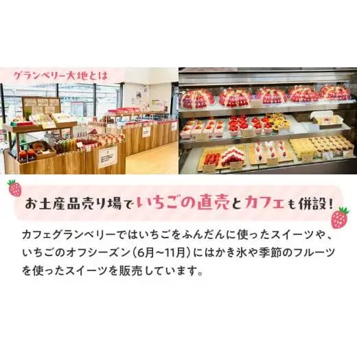【訳あり】冷凍いちご　3kg (1kg×3袋)