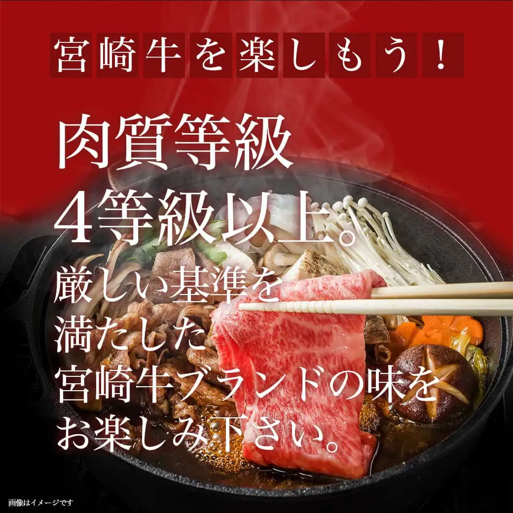 宮崎牛モモスライス300g〔AA-8907〕_(都城市) 国産黒毛和牛 牛肉 牛モモスライス (300g×1パック) 程よい霜降り 牛もも薄切り肉 宮崎県産牛肉 ギフト 贈答用