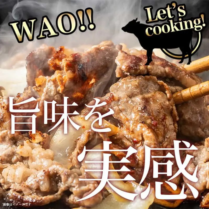 宮崎牛赤身切り落とし500g〔AA-8908〕_(都城市) 国産黒毛和牛 ブランド牛 牛肉 宮崎牛切落とし 500グラムパック 肉じゃが すきやき 牛丼や炒め物などに 万能 冷凍 国産 九州産 宮崎県産 都城産