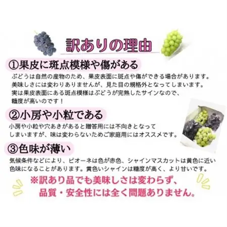 【2026年先行受付】訳あり品フルーツ王国岡山の人気ぶどう　ピオーネ1房500g以上!【配送不可地域：離島】【1571847】
