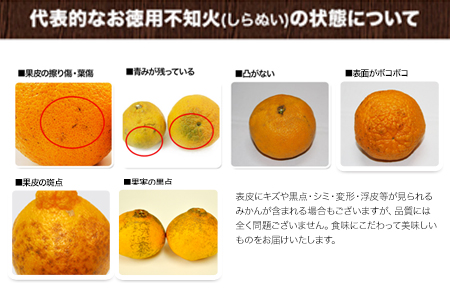 『清晃アグリ』のご家庭用不知火(しらぬい)約4kg(L-4Lサイズ)《3月上旬-3月末頃出荷》