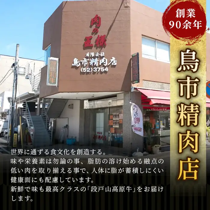赤身が美味しい！国産牛 フルコースセット 段戸山高原牛 ロース ステーキ 焼き肉 カルビ 赤身 すき焼き しゃぶしゃぶ -050