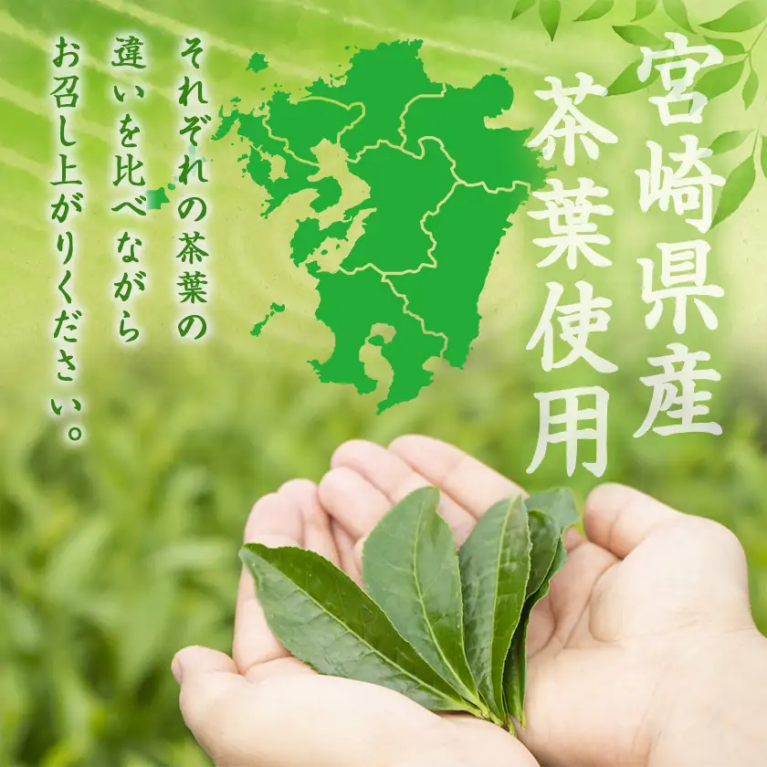 煎茶・白折味くらべセット〔MJ-48-003〕_(都城市) 茶葉 上煎茶 80g×3本 上白折 80g×2本 お茶の産地 都城盆地 最高級品 ホット 冷茶 日本茶 せんちゃ しらおれ
