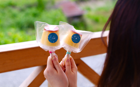 さかもと 姉妹 の プリン アイス 10個 セット | プリン セット たまご 卵 タマゴ 牛乳 洋菓子 レトロ スイーツ デザート お菓子 ギフト 贈り物 お楽しみ 冷蔵 奈良県 五條市