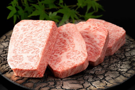 【定期便】肉のプレミアム定期便!毎月佐賀牛をお届け! J1173