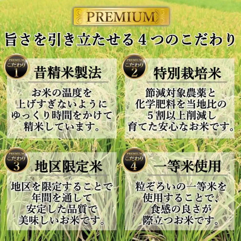 ＜全3回定期便＞令和7年米 福岡県産 米 金のめし丸元気つくし 5kg