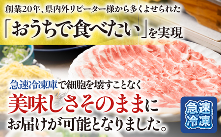 【 かごしま黒豚 六白亭 】 黒豚しゃぶしゃぶ セット ハーフ K163-018_01 肉 豚肉 冷凍
