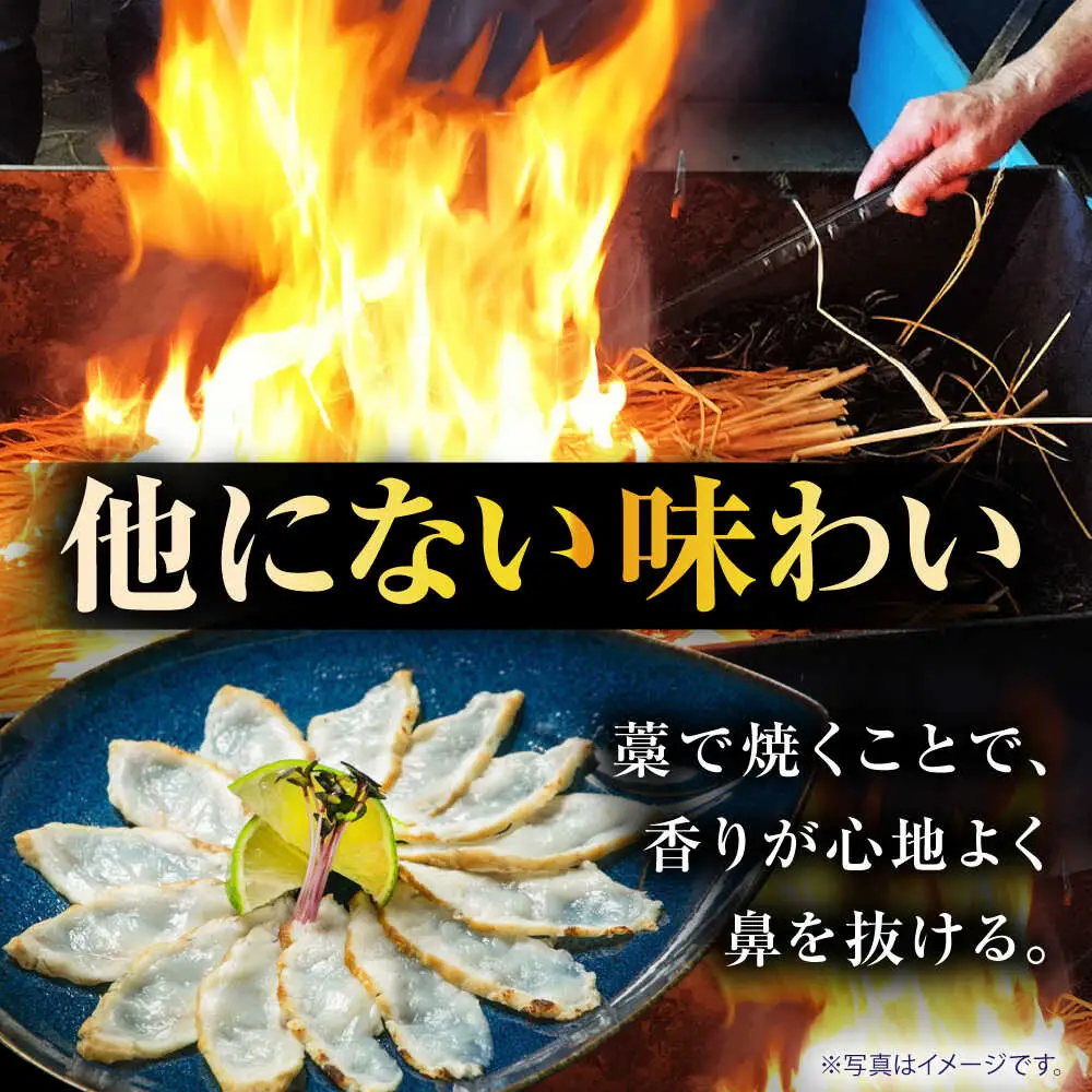 【新鮮！贅沢おつまみ】トラフグのたたき（小皿/約30g）×1枚 / ポン酢 もみじおろし セット 冷凍 ふぐ 河豚 藁焼き / 南島原市 / 株式会社 FUKUNOTANE[SFJ031]