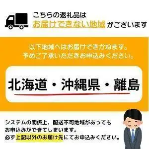 ＜最短10営業日以内発送＞2～3人前 絶品塩もつ鍋セット（300g）