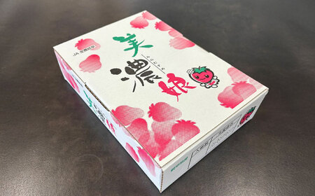 いちご 岐阜いちご”美濃娘”　15粒入り化粧箱×1箱[ANAS016] いちご