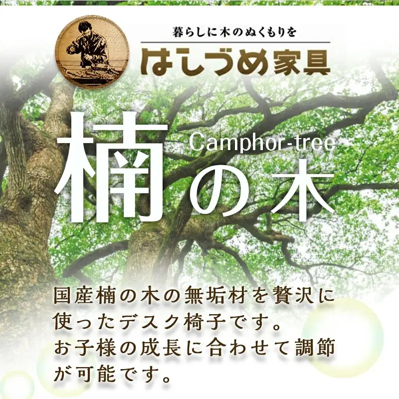 楠の木の椅子〔HB-4304〕_(都城市) 椅子 木製家具 サイズ 幅425mm×奥行き462mm×高さ750mm 天然木 無垢 デスクチェア デスク椅子 ウッドチェア チェアー 座面4段階/足置き3段階 調節可能