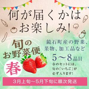  鏡石のうまいもの野菜の直送便（春）果物 詰め合わせ つめ合わせ セット 福島県 鏡石町  F6Q-133