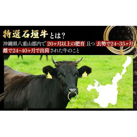 牛スジ500g×4パック　 IM-22