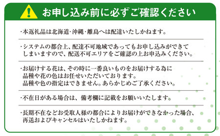 【先行予約】【2026年11月より順次発送】6代続く花農家より直送! 石井農園の「季節の花束」 SMCM001 / ふるさと納税 花 花束 季節 旬 お祝い フラワー ギフト 母の日 誕生日 記念日 千葉県 山武市