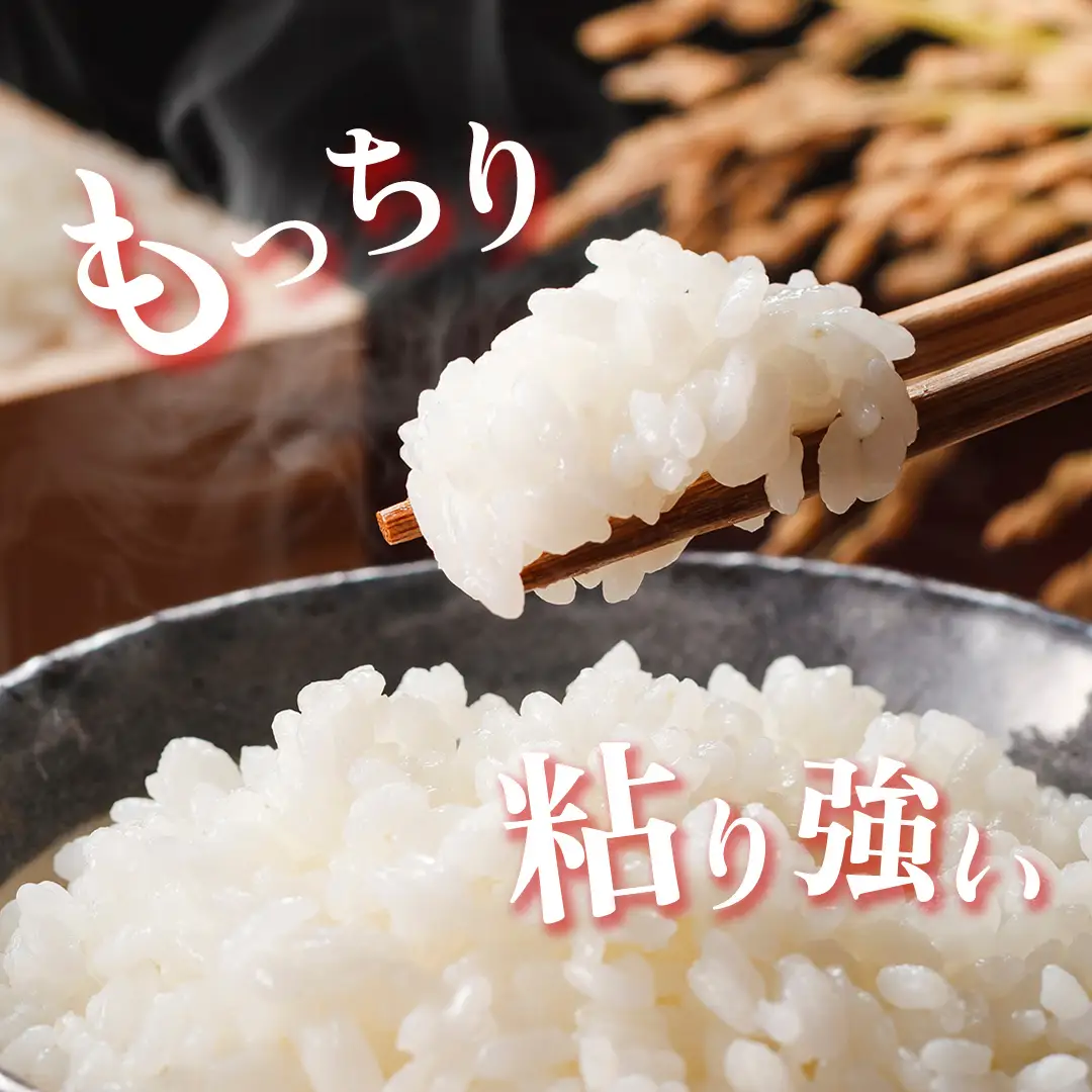 《 令和8年産 》 全3回 定期便 茨城県産 にじのきらめき 10kg × 3回 ( 合計 30kg ) 新米 先行予約 3ヶ月 茨城県 桜川市 白米 精米 国産 茨城県 桜川市 お米 米 おこめ おコメ ごはん 銘柄米 [SC056sa]