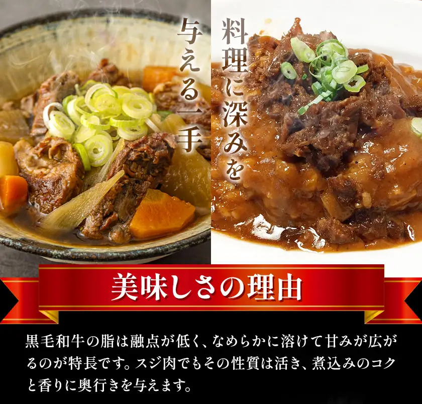 さつま福永牛 スジ肉 500g × 2パック 福永畜産