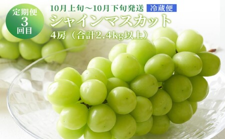 ぶどう 【2027年 先行予約】 晴れの国 おかやま の フルーツ 定期便  葡萄 ニュー ピオーネ シャインマスカット 岡山県産 国産 セット ギフト