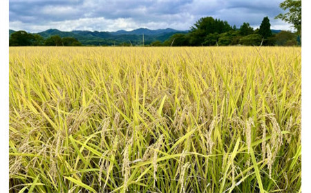 【令和8年度産】ユキノチカラ米　銀河のしずく　玄米４kg