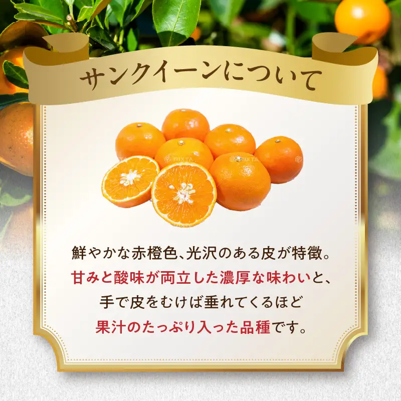 サンクイーンジャム　140g×3個 K09001
