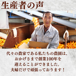 有田 みかん 小玉 1.8kg / 温州みかん 有田みかん 甘い 小粒 和歌山 柑橘 ※2026年12月上旬〜翌年1月上旬に順次発送 【ymk004-s-1d8A】