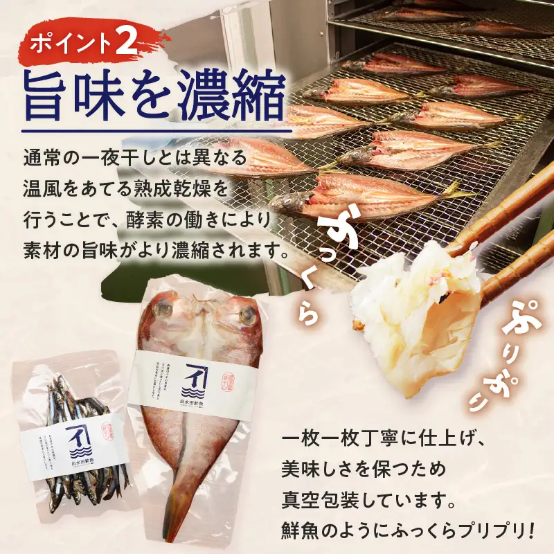 季節の 一夜干し 詰合せ （6種） K294-001 魚 冷凍