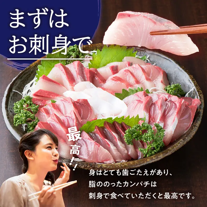 鹿児島県産 カンパチ 約3.5kg 刺身用 ブロック（ ロイン ） 活〆 ※ 真空包装 K294-003_03 魚
