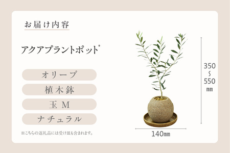 アクアプラントポット®　玉Ｍ 植木鉢　オリーブ（2096）