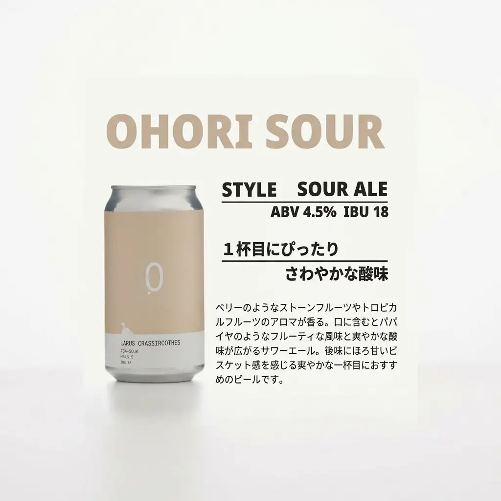 大濠ブルワリー OHORI SOUR 缶ビール 350mlｘ6缶セット ビール