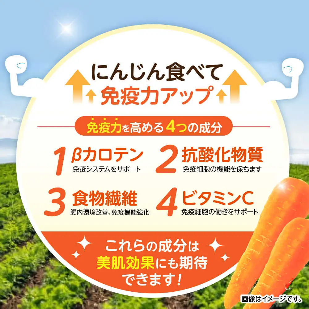 ※【2026年11月下旬より順次発送／先行予約】【訳あり】滝さんのにんじん 10kg AHCU005 にんじん