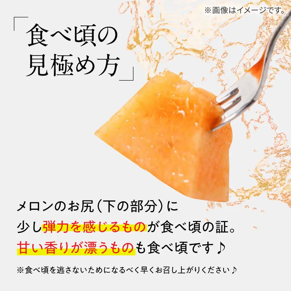 【2027年5月-発送】タカミメロン レッド 1箱 5kg以内（3?6玉） / メロン めろん フルーツ 果物 / 南島原市 / 南島原果物屋[SCV031]