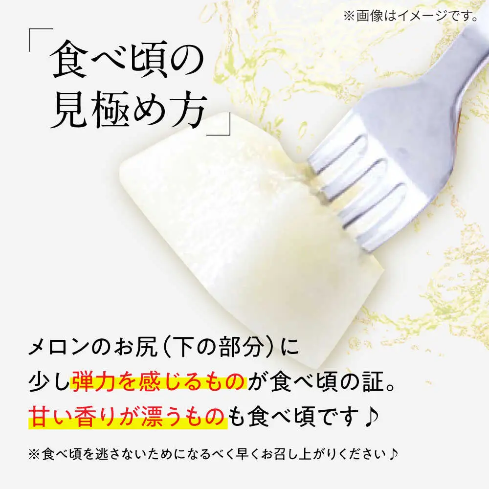 【2027年5月-発送】メロン イエローキング 1箱 5kg以内（3?6玉） / メロン めろん フルーツ 果物 / 南島原市 / 南島原果物屋[SCV039]