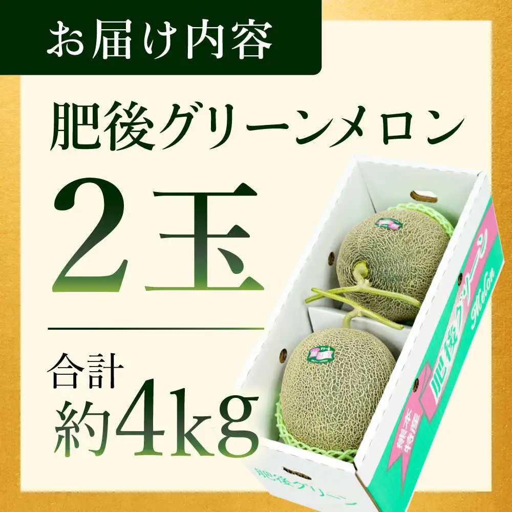【先行予約】肥後グリーンメロン 約4kg(2玉入) メロン グリーンメロン フルーツ 熊本県産 【日本フルーツ株式会社】 [ZFJ004]