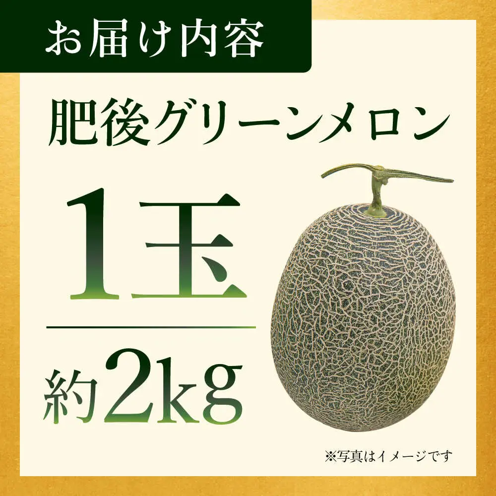 【先行予約】肥後グリーンメロン 約2kg(1玉入)  メロン グリーンメロン フルーツ 熊本県産 【日本フルーツ株式会社】 [ZFJ005]